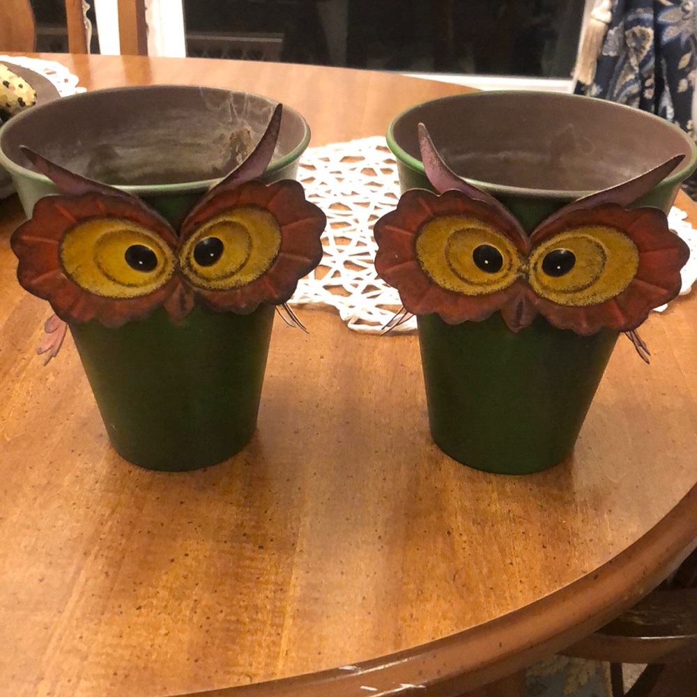 Owl plant pots set
